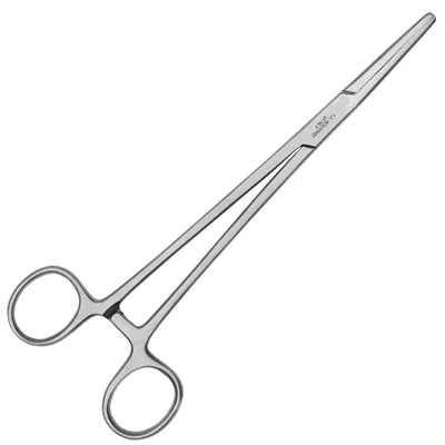 Image de Pince à extrémité droite - Longueur : 20 cm - Acier inoxydable