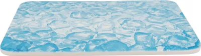 Produktbild von TRIXIE Kühlplatte - blau - 28 × 20 cm