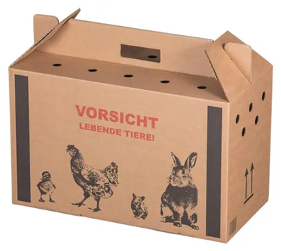 Produktbild von 10x Transportkarton für Kleintiere 480x230x300mm mit Tragegriff Luftlöchern und Automatikboden - Größe M