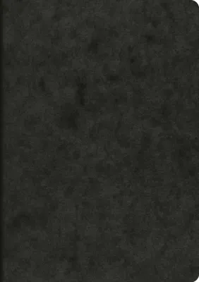 Produktbild von BRUNNEN Heft A5 48 Blatt unliniert/blanko schwarz FACT!pl