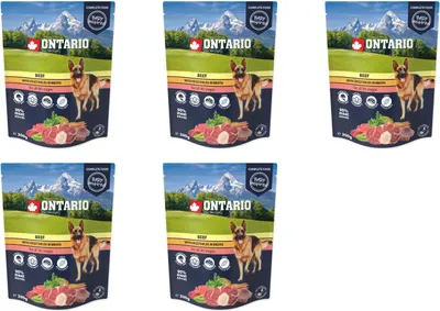 Obrázek produktu pro Kapsička Ontario hovězí se zeleninou ve vývaru 300g / balení 5 ks