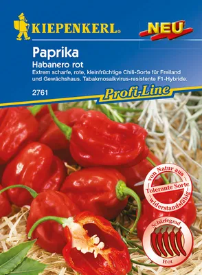 Produktbild von Kiepenkerl Paprika Habanero rot Capsicum chinense, Inhalt: 7 Korn