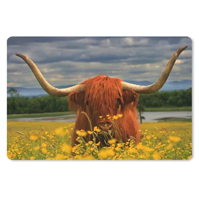 Produktbild von MuchoWow® Schreibtischunterlage Schottischer Highlander - Tiere - Blumen 60x40 cm - XXL Mauspad - Großes Mauspad