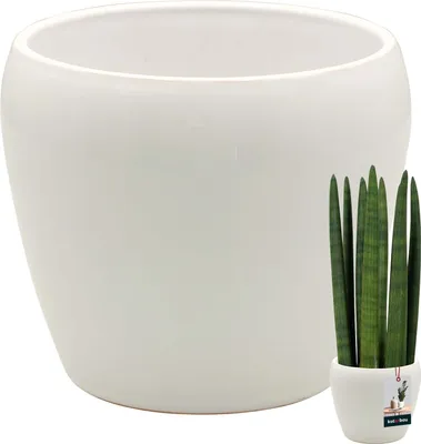 Immagine prodotto di KOTARBAU® Vaso da fiori bianco interno rotondo ⌀ 15 cm H: 15 cm vaso da fiori in Vetroceramica smaltata fioriera interna vaso da piante in Vetroceramica fioriera interna per orchidee vaso da fiori in Vetroceramica vaso da fiori grande