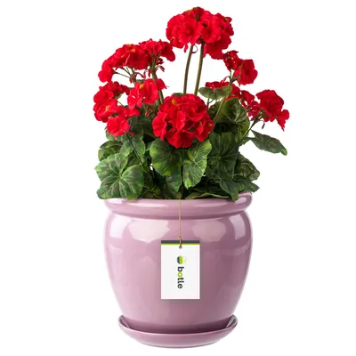 Produktbild von Blumentopf Blumenübertopf Rose Blumenschale mit Untersetzer Rund DxH 280 mm x 305 mm Oberfläche Glanz Keramik Modern Glamour