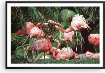 Produktbild von Gerahmtes Poster - Schwarzer Rahmen - Palmen Herde Flamingos - 91,5x61 cm - Wand Bild - Wanddeko - Wandbilder - Kunstposter - Wandposter - Bilderrahmen - Bilder - Kunstdruck - P2BAA91x61-4804