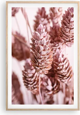 Produktbild von Gerahmtes Poster - Rahmen in heller Eiche - Getrocknet Blume Eco - 61x91,5 cm - Wand Bild - Wanddeko - Wandbilder - Kunstposter - Wandposter - Bilderrahmen - Bilder - Kunstdruck - P2NPA61x91-4912