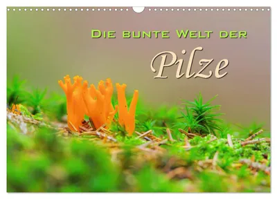 Produktbild von Die bunte Welt der Pilze (Wandkalender 2027 DIN A3 quer), CALVENDO Monatskalender