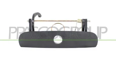 Produktbild von PRASCO VG0238303 Türgriff für VW POLO (9N)