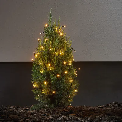 LED Lichterkette - 96 bernsteinfarbene LED - L: 7,1m - 8 Funktionen - Timer - Batterie bis 60 Tage