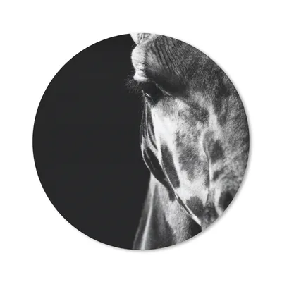 Produktbild von MuchoWow® Mauspad Mousepad Tierprofil Giraffe in schwarz und weiß 40x40 cm - Mousepads - Maus Mat - Pad - Mausunterlage - Schreibtisch Accessoires