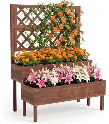 Image de Bordure de jardin surélevée en bois - Jardinière verticale - 2 niveaux - Grille supérieure pour plantes grimpantes - Autoportante avec pieds - Dotée d'orifices de drainage - Pour jardin, terrasse et balcon - Marron