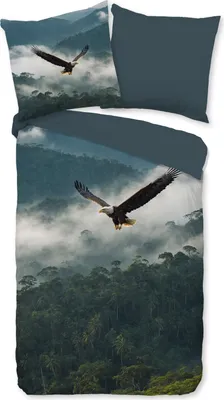 Produktbild von Duvet cover Pure 135x200 + 1* 80x80 cm - bird of prey / eagle in nature