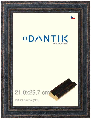 Zdjęcie produktu dla Ramka DANTIK 21x29,7 | LYON czarna (szkło przezroczyste)