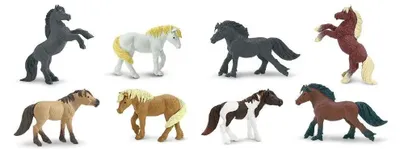 Obrázok produktu pre Safari Ltd Ponies TOOB, 3 rok / roky, Ponies, Viacfarebný