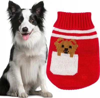 Produktbild von Pullover warme Hundebekleidung für Winter 35cm (14)
