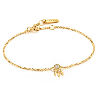 Produktbild von Ania Haie Jewellery B026-02G Damenarmband