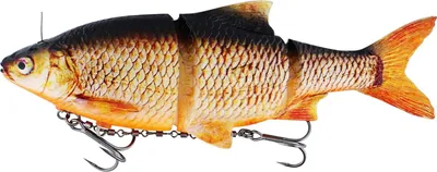Image de Westin Ricky The Roach Inline 20cm 119g Sinking Real Rudd Gummifisch montiert