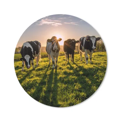 Produktbild von MuchoWow® Mauspad Mousepad Kühe - Sonne - Gras - Tiere - Bauernhof 20x20 cm - Mousepads - Maus Mat - Pad - Mausunterlage - Schreibtischmatte