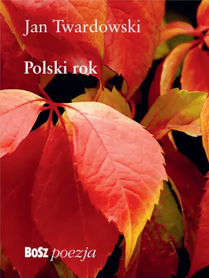 Image de L'année polonaise