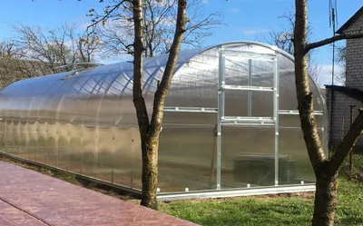 A greenhouse with a clear polycarbonate covering and a silver metal frame, situated outdoors with trees and a brick building in the background.