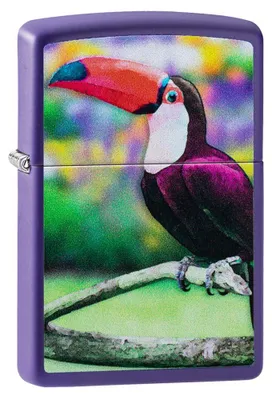 Produktbild von Feuerzeug Winddicht Zippo 237-084669 Mann Metall Lila