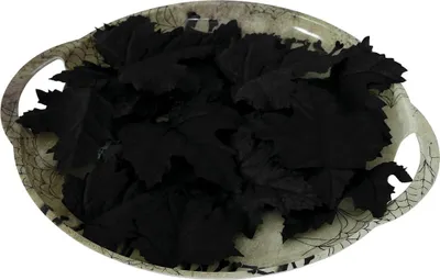 Pompoenblaadjes, schwarz, 24 Stück, 9-10 cm