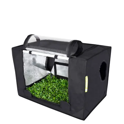 Produktbild von Garden HighPro Probox Propagator S mit 60 x 40 x 40 cm