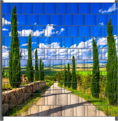 Produktbild von Wallario Zaunsichtschutz mit Motiv Zypressenweg in der Toskana für Ein- und Doppelstabmatten Zäune in der Größe 200 x 200 cm