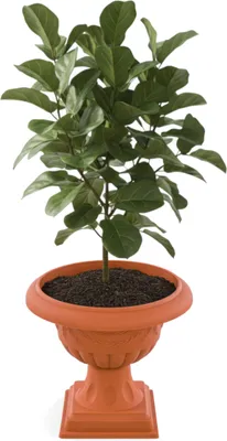 Zdjęcie produktu dla Doniczka gazon Ø 47 cm H 52,5 cm okrągła na nóżce terakota  wzór 3D kwietnik