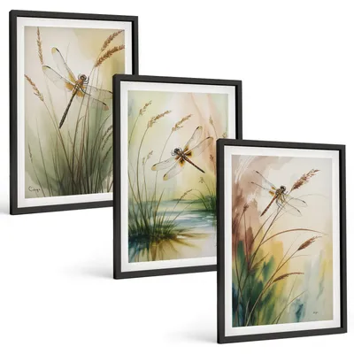 Produktbild von Bilder Set 3-teilig im schwarzen Rahmen – Wandbilder 3 Stück – gerahmte Poster für Wohnzimmer, Schlafzimmer und Flur – 40x60 cm – Libellen im Gras, Wassermalerei