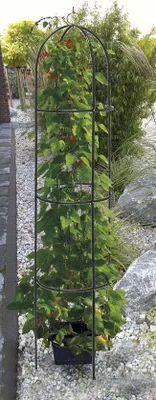 Produktbild von Garden Pleasure 504560 Rank-Obelisk 'Garden Pleasure' für Kletterpflanzen, dekorativer Ring, flexibel aufstellbar