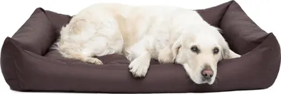 Immagine prodotto di Cuscino per cani Lettino per cani Cuscino per cani Pontes - Eco - 105 x 75 x 17 cm [taglia: XXL] - Marrone