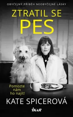 Obrázek produktu pro Ztratil se pes (Spicerová Kate)