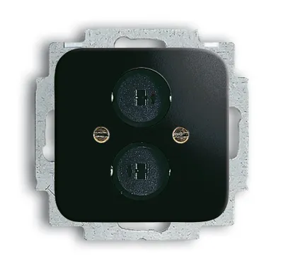 Produktbild von Busch-Jaeger 2147 U-215 Zentralscheibe, mit Tragring schwarz