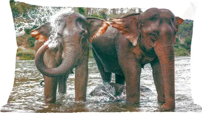 Produktbild von MuchoWow® Zierkissen Sofakissen Wohnzimmer Dekokissen 50x30 cm Elefant - Wasser - Fluss - Wohnzimmerdekoration - Polster mit Photo