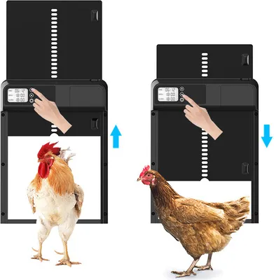 Produktbild von Elektrisch betriebene Hühnerstalltür aus Aluminium mit Zeitschaltuhr, LED Anzeige und Einklemmschutz Automatische Tür für Hühnerstall
