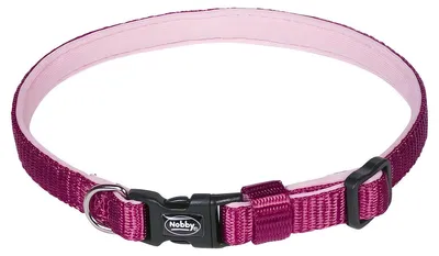 Image de Collier Nobby Classic Preno Mini L : 13-20 cm ; l : 10 mm, framboise
