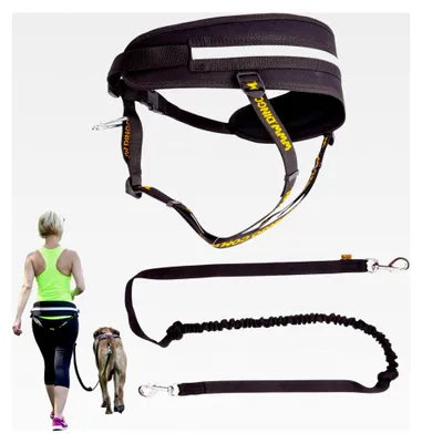 Produktbild von Multifunktionaler Laufgürtel mit Hundeleine und zwei Karabinern, Ruckdämpfer, Schwarz, für Canicross und Joggen mit dem Hund