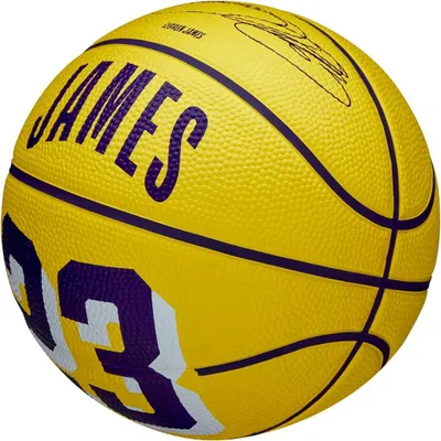 Zdjęcie produktu dla Zewnętrzna piłka do koszykówki z ikoną gracza NBA - rozmiar 7-29,5" i rozmiar mini - odporny na warunki atmosferyczne pierścień do koszykówki
