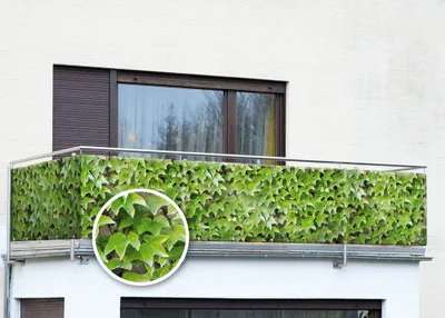 A balcony railing covered with a green ivy-like privacy screen, with a close-up inset of the leaves.