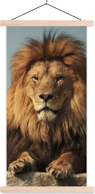 Produktbild von MuchoWow® Textilposter Löwe - Felsen - Porträt 60x120 cm mit holzfarbenen Rahmen - Holz