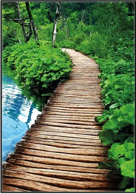 Produktbild von Wallario Wandbild Holzweg im Wald, Größe: 70,30 x 100,30 cm, Poster mit schwarzem Aluminiumrahmen