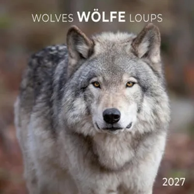 Immagine prodotto di Lupi / Wolves 2027