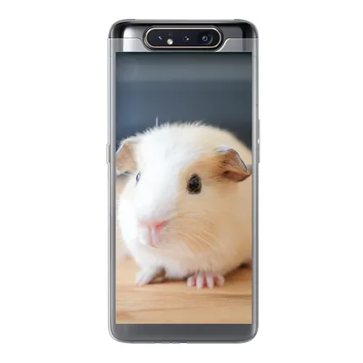 Produktbild von MuchoWow® Handyhülle Schutzhülle Hülle für Samsung Galaxy A80 Niedliches Baby-Meerschweinchen Silikon Softcase Handy Hülle - Schutzdeckel