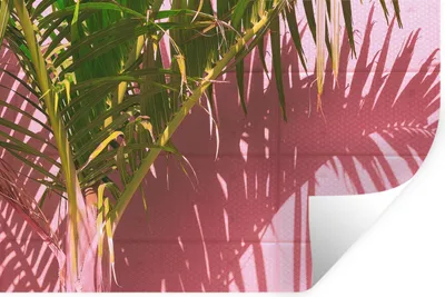 Produktbild von MuchoWow® Wandtattoo Wandsticker Wandaufkleber Pflanze - Sommer - Tropisch - Rosa 120x80 cm Selbstklebend und Repositionierbar - Selbstklebend - Fototapeten