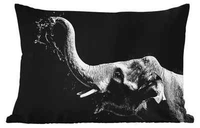 Produktbild von MuchoWow® Outdoor Kissen - Porträt - Elefant - Tiere - Schwarz und weiß - 50x30 cm - Wetterfest - Lounge Kissen - Sofa kissen - Wohnzimmer Dekoration