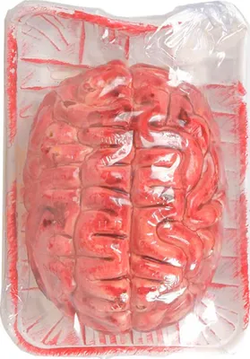 Produktbild von Blutiges Gehirn Halloween Party-Deko rot 8x15x9cm - Einheitsgröße