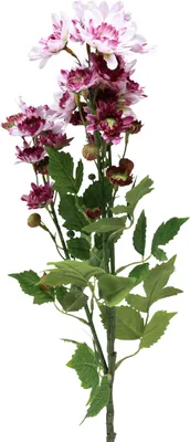 Produktbild von Kunstblumen Künstliche Astern Seidenblumen Lila 80cm Dekoration