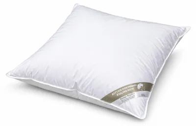 Produktbild von Betten Hofmann Daunenkissen Kopfkissen 80x80 cm 450g Daunen Kissen 100% Daunen soft weich